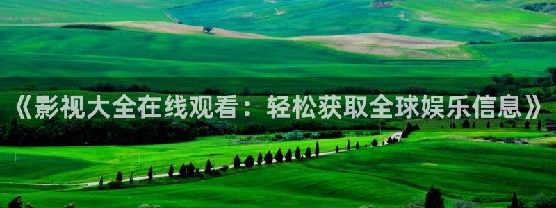 泡泡影视神马电影：《影视大全在线观看：轻松获取全球娱乐信息》