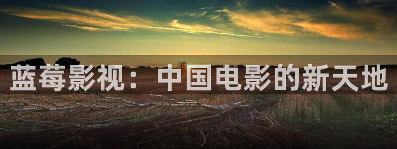 大泡泡：蓝莓影视：中国电影的新天地