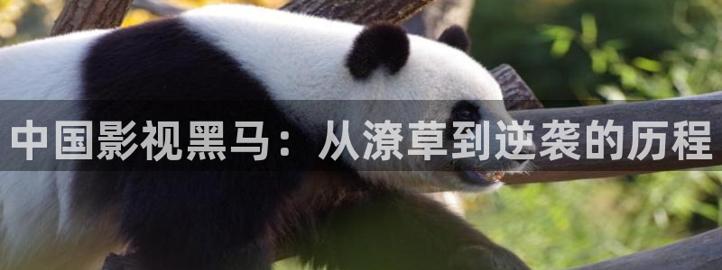 泡泡视频在线播放免费观看：中国影视黑马：从潦草到逆袭的历程