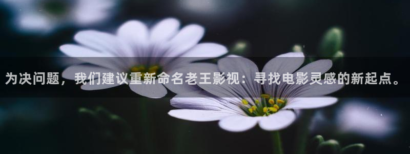 泡泡影视日韩：为决问题，我们建议重新命名老王影视：寻找电影灵感的新起点。