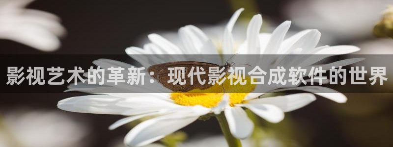 泡泡影视哈片：影视艺术的革新：现代影视合成软件的世界