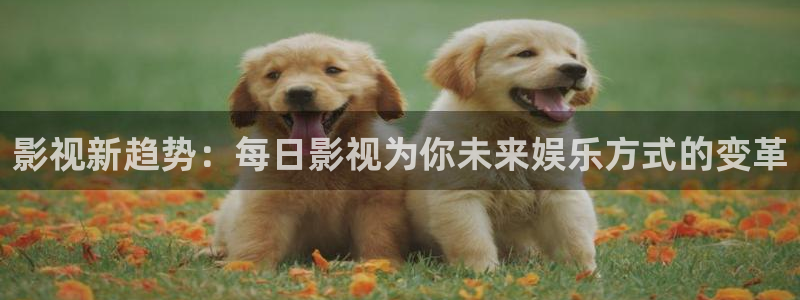 泡泡影视在线观看：影视新趋势：每日影视为你未来娱乐方式的变革