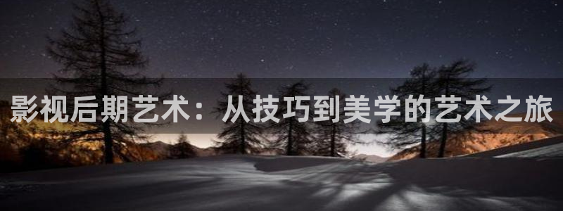 泡泡电影网最新电影：影视后期艺术：从技巧到美学的艺术之旅